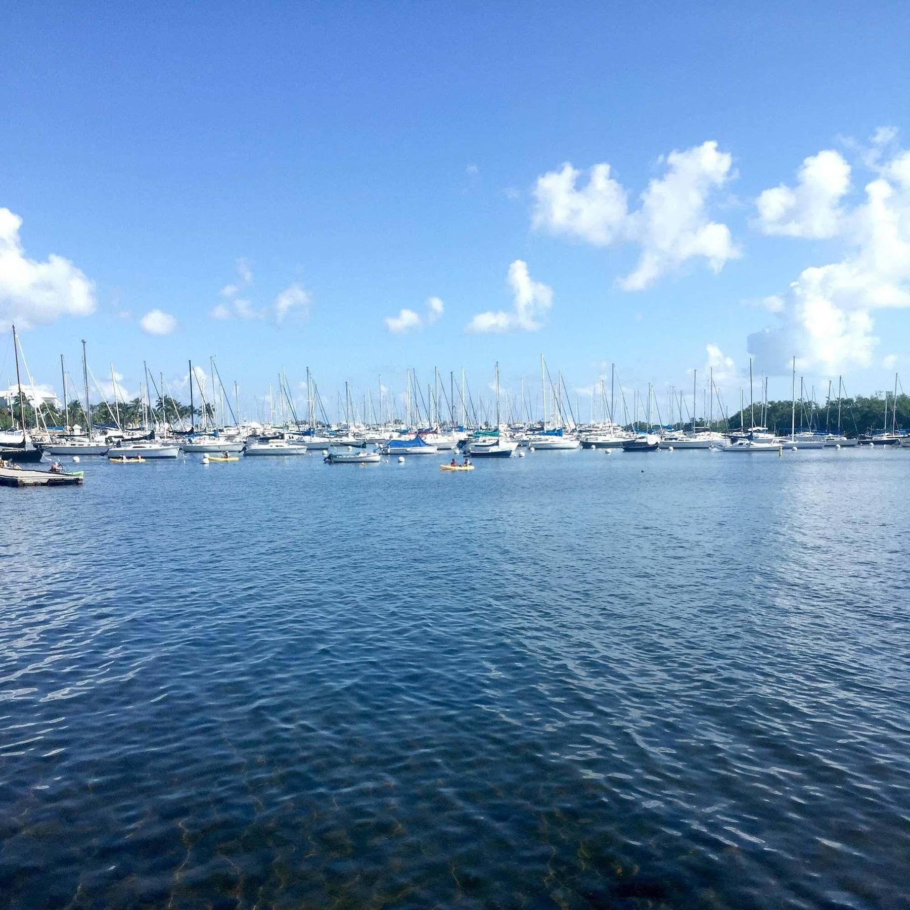 Pelicanstay In Coconut Grove Miami Coral Gables Eksteriør bilde